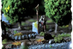 forest-1