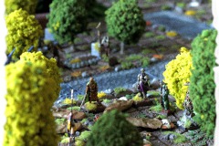 forest-2